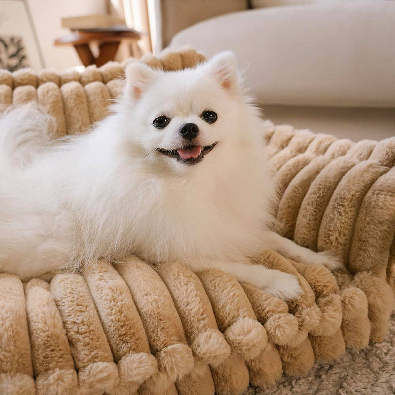Cama Ortopédica para Cães e Gatos  – PawSure Comfort™